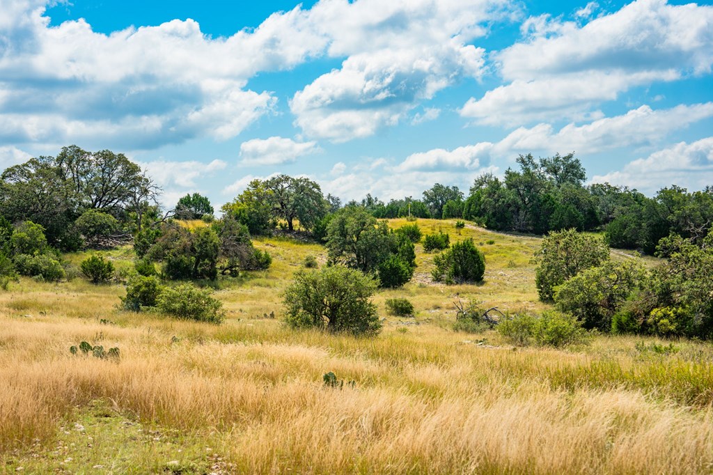 12995 Hackberry Road Rocksprings, TX 78880 - Photo 11 of 45
