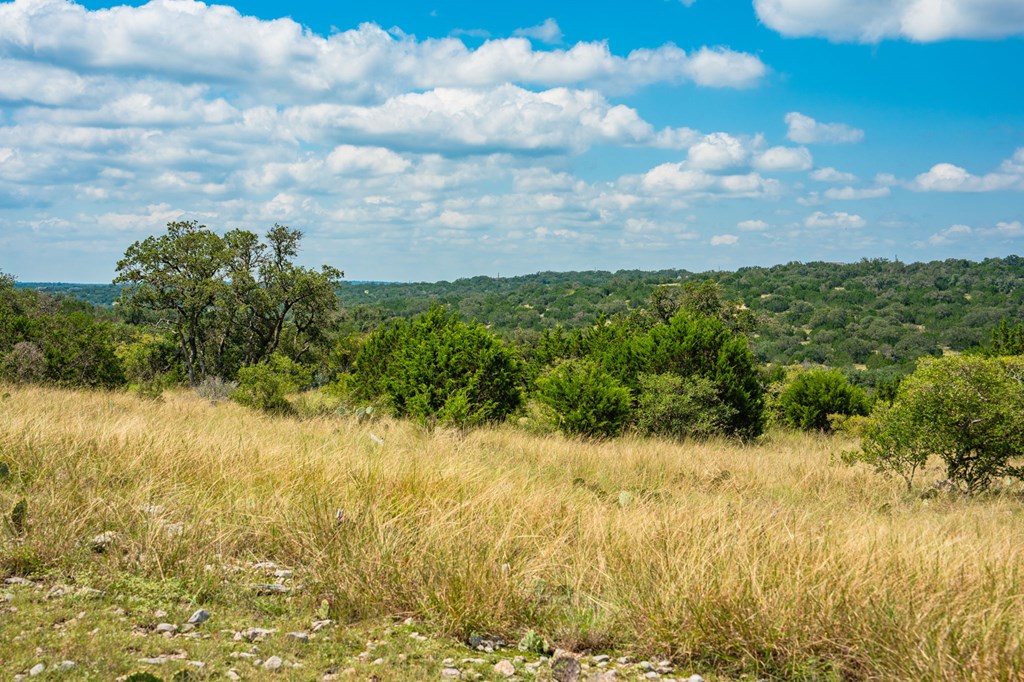 12995 Hackberry Road Rocksprings, TX 78880 - Photo 12 of 45