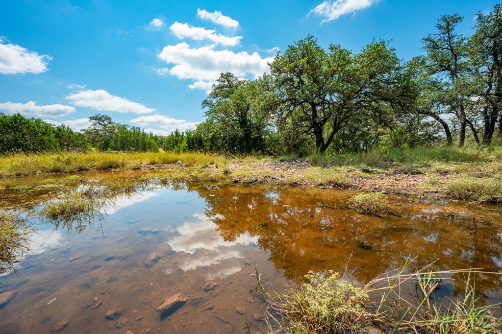 12995 Hackberry Road Rocksprings, TX 78880 - Photo 15 of 45