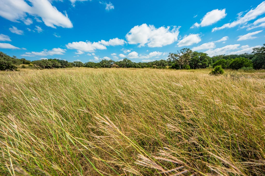 12995 Hackberry Road Rocksprings, TX 78880 - Photo 16 of 45