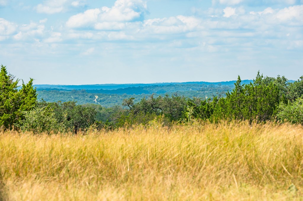 12995 Hackberry Road Rocksprings, TX 78880 - Photo 2 of 45