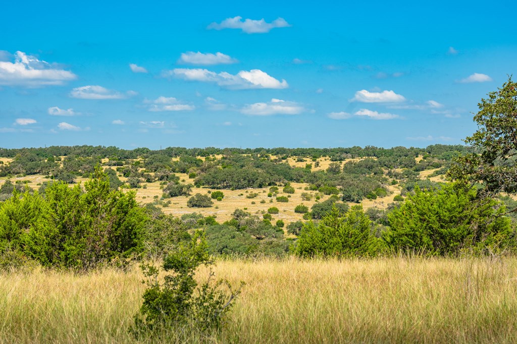 12995 Hackberry Road Rocksprings, TX 78880 - Photo 21 of 45