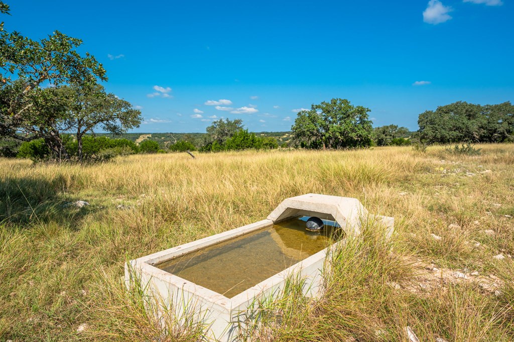 12995 Hackberry Road Rocksprings, TX 78880 - Photo 24 of 45