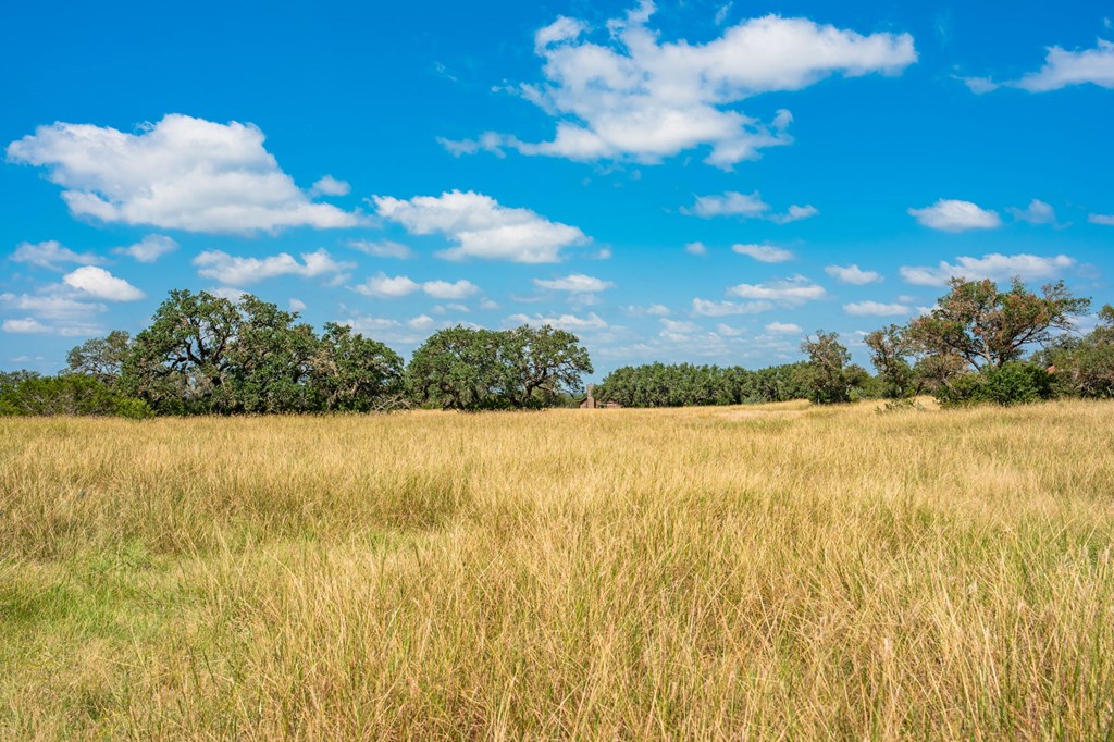 12995 Hackberry Road Rocksprings, TX 78880 - Photo 25 of 45