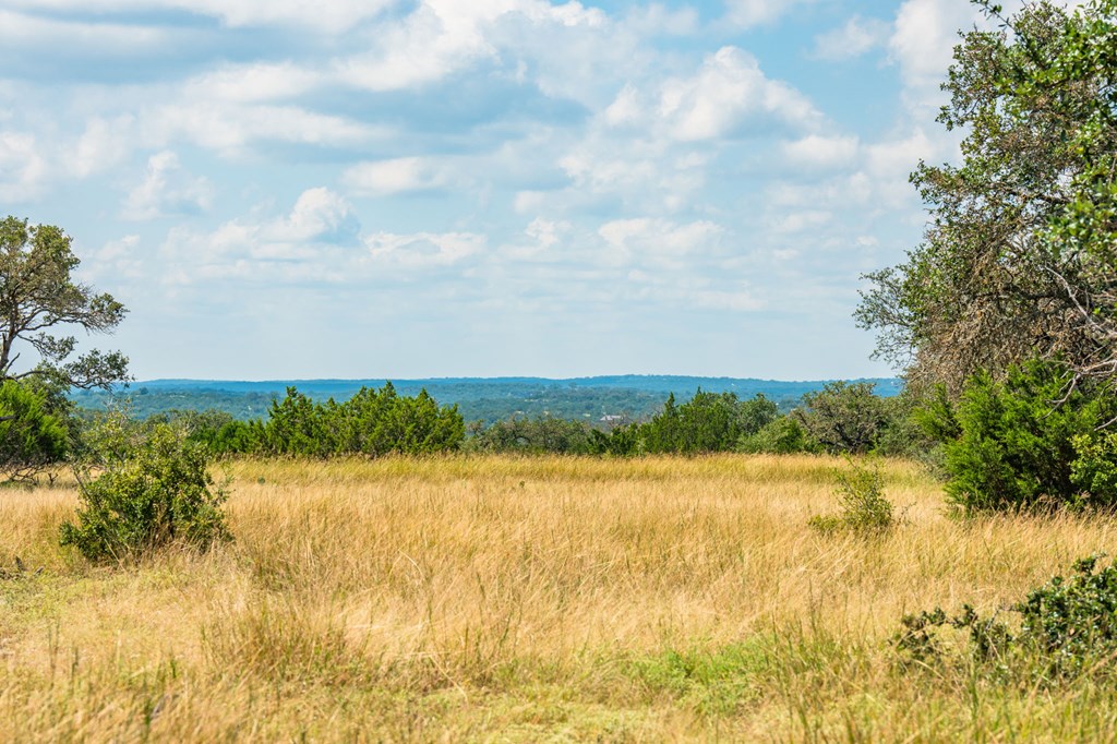 12995 Hackberry Road Rocksprings, TX 78880 - Photo 3 of 45