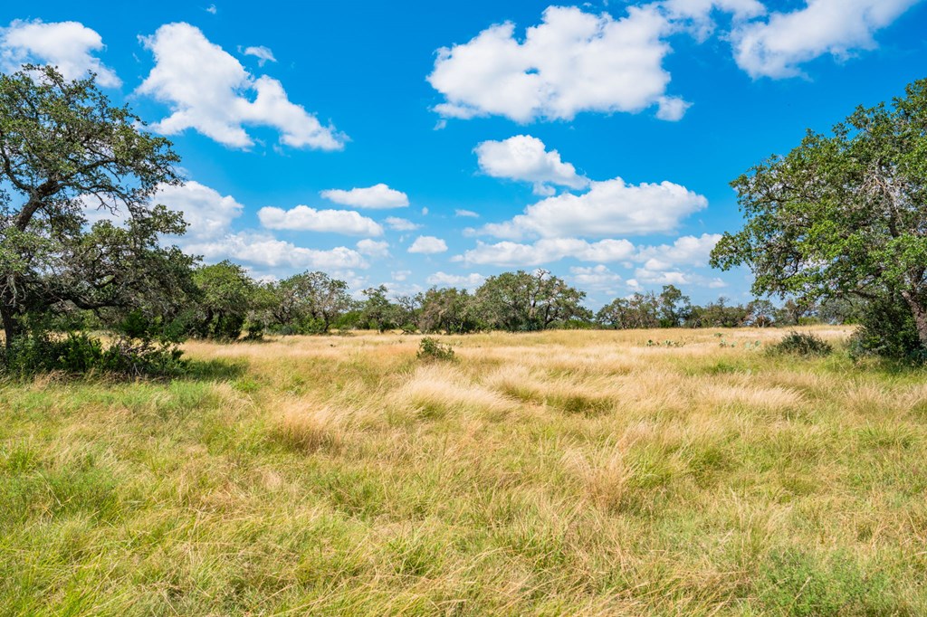 12995 Hackberry Road Rocksprings, TX 78880 - Photo 4 of 45