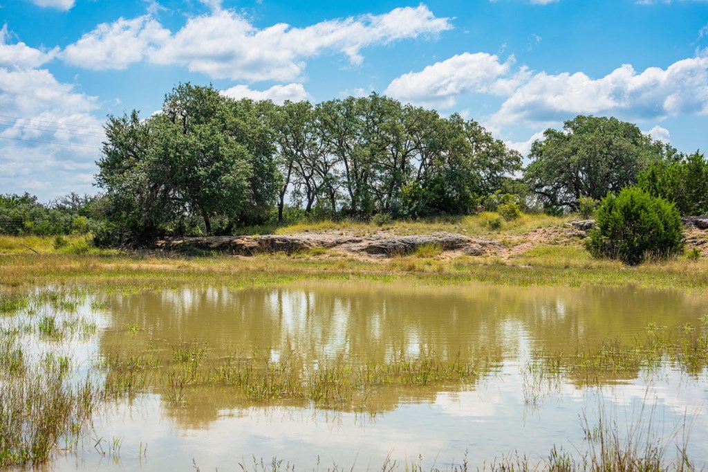 12995 Hackberry Road Rocksprings, TX 78880 - Photo 5 of 45