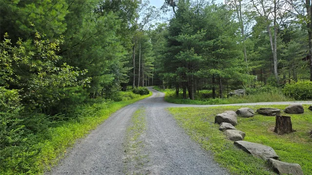 a view of backyard with green space