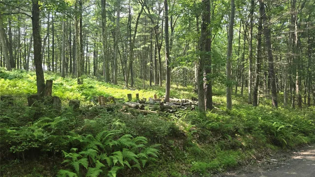 a view of outdoor space and garden