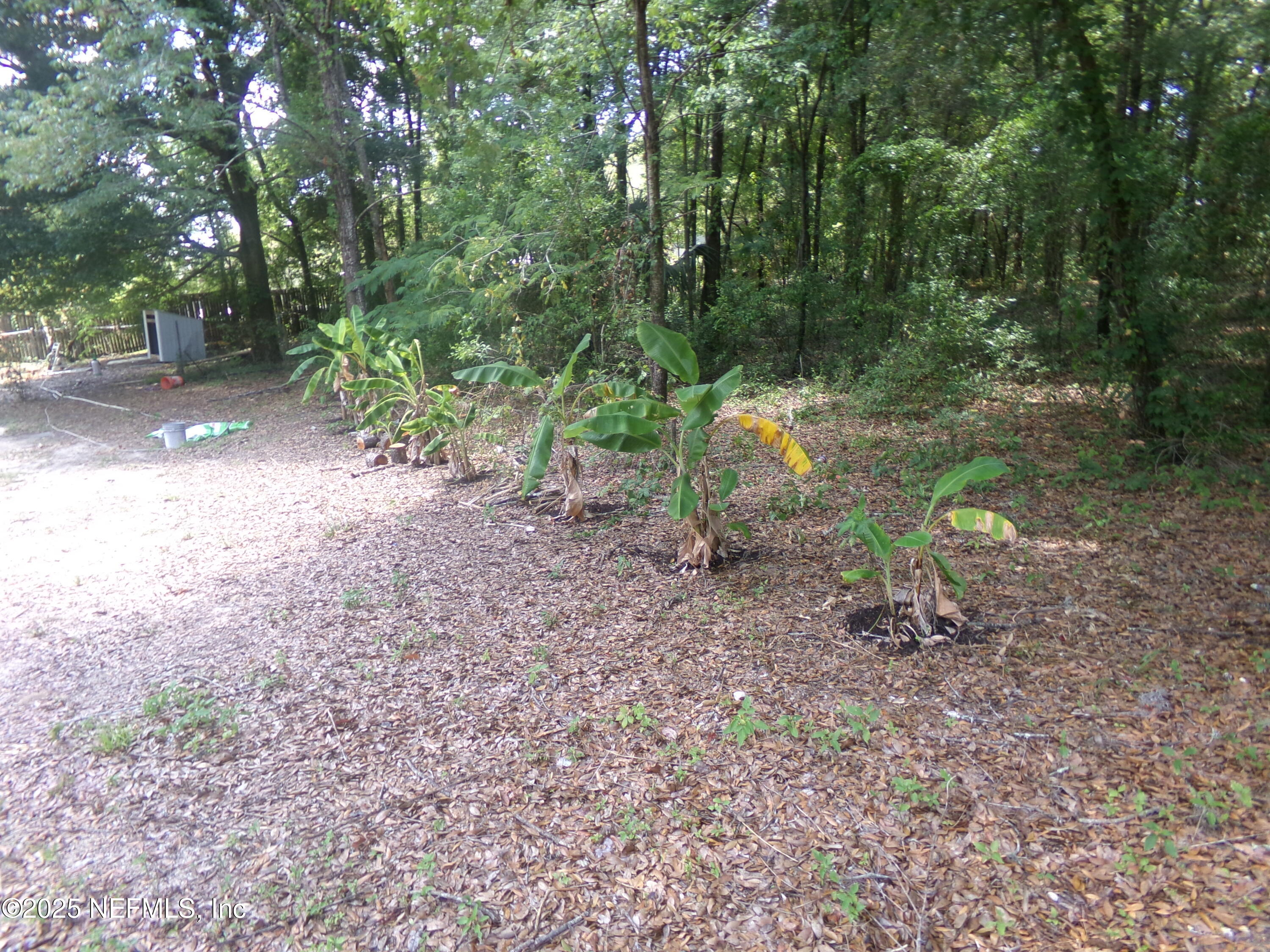 231 6th Way Interlachen, FL 32148 - Photo 5 of 20 100_0018 - Copy