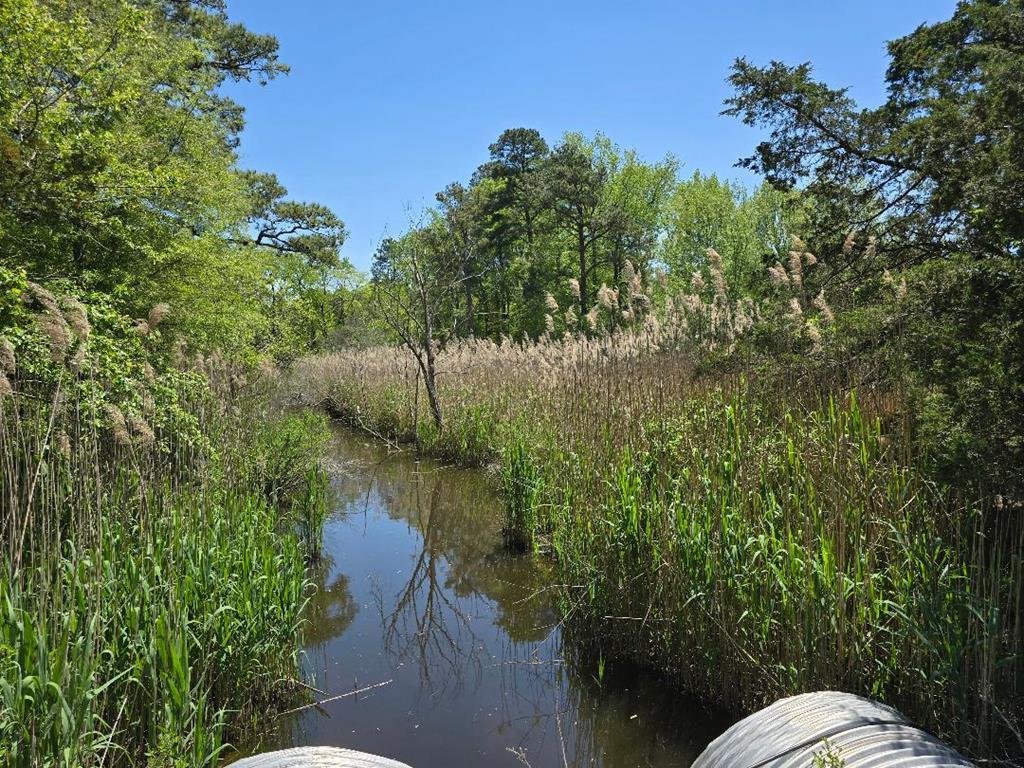 0 Guilford Road Bloxom, VA 23308 - Photo 2 of 4