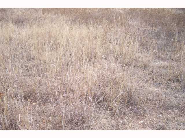 504 Thunderhead Road Kyle, TX 78640 - Photo 1 of 1 Gallery Image 1