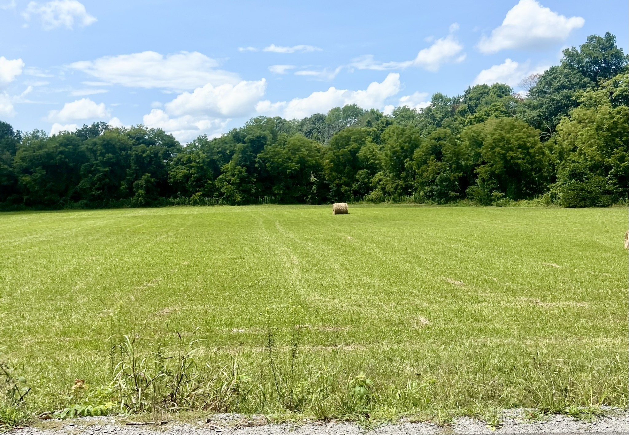 0 North Corinth Road Portland, TN 37148 - Photo 1 of 3 Gallery Image 1