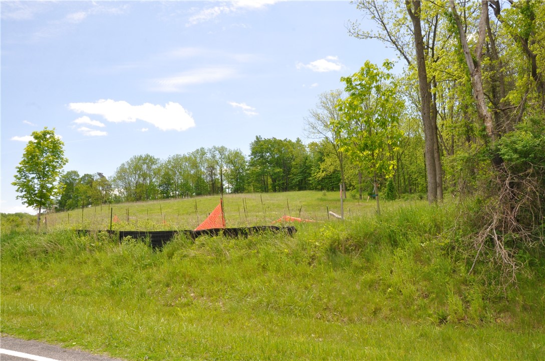 1086 Strong Road Victor, NY 14564 - Photo 4 of 16