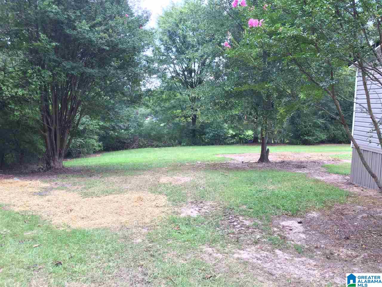 87 Brewster Road Riverside, AL 35135 - Photo 5 of 38