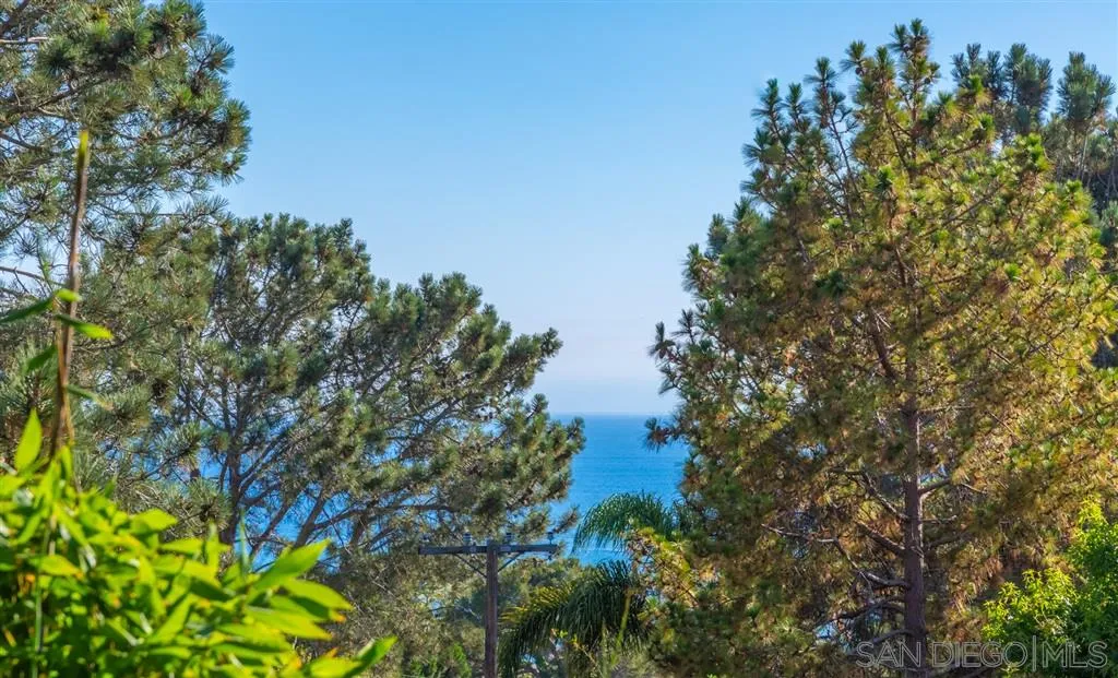 945 Crest Road Del Mar, CA 92014 - Photo 15 of 23 a view of a tree in a garden of a house