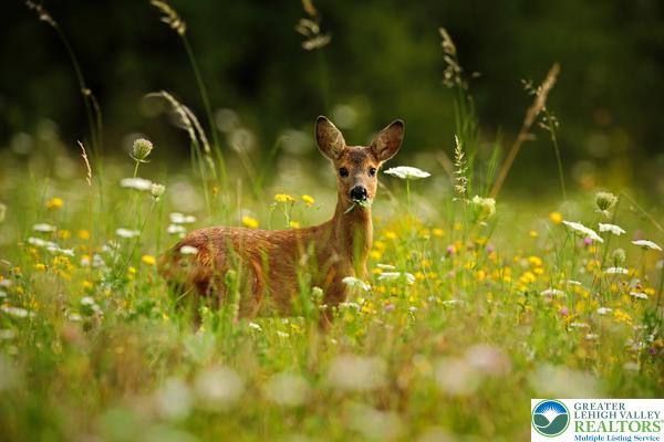 a bathroom with a swimming pool