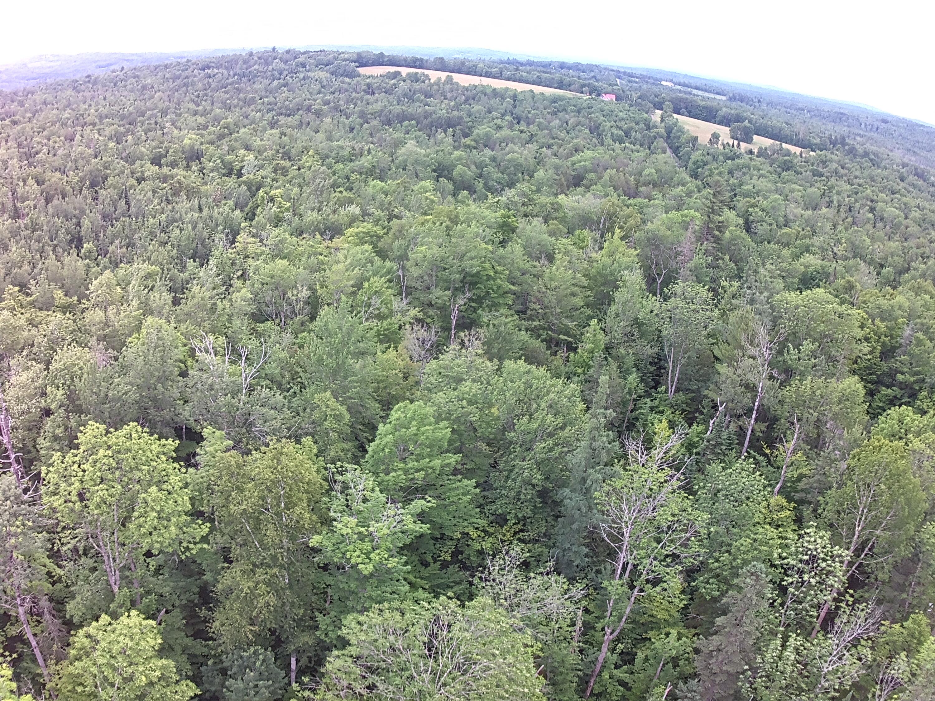 177 Lander Road Parkman, ME 04443 - Photo 14 of 20 IMG_4864