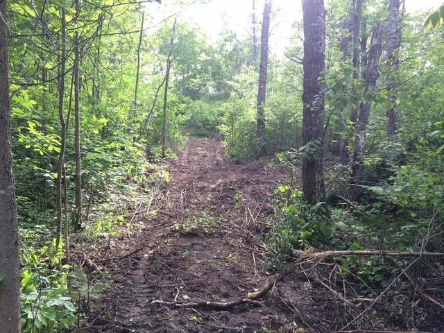 Lot B Hidden Waters Road Tomahawk, WI 54487 - Photo 6 of 15 Gallery Image 6