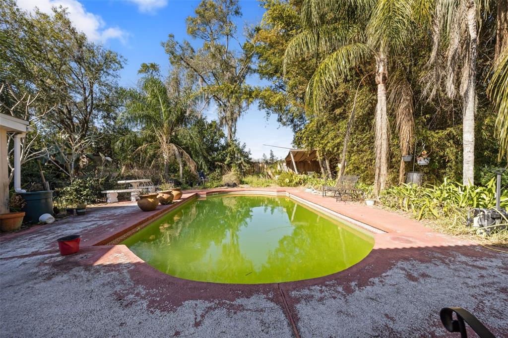 2802 Wilson Circle Lutz, FL 33548 - Photo 34 of 54