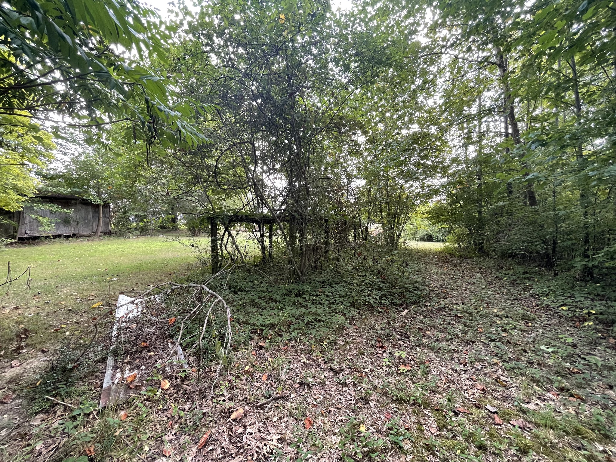 225 Taylor Road Estill Springs, TN 37330 - Photo 33 of 33 Gallery Image 33