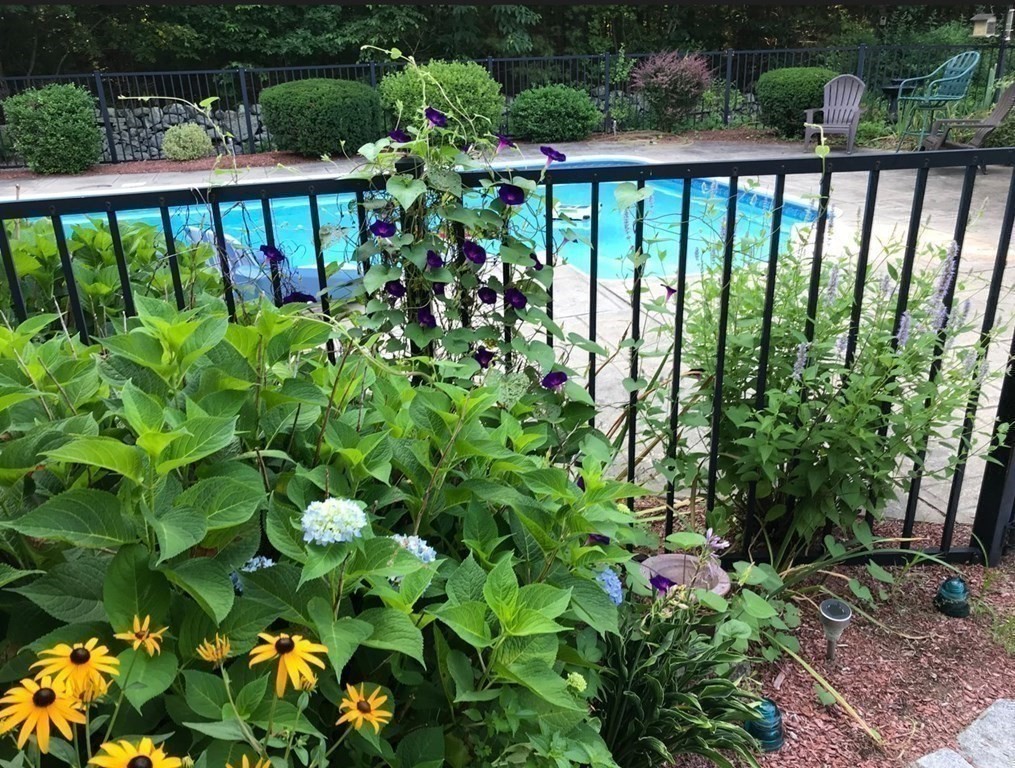 92 Lyman Road Berlin, MA 01503 - Photo 2 of 32 a view of a flower in a garden