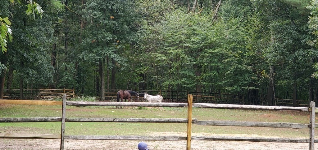 92 Lyman Road Berlin, MA 01503 - Photo 27 of 32 a view of swimming pool with a sitting area