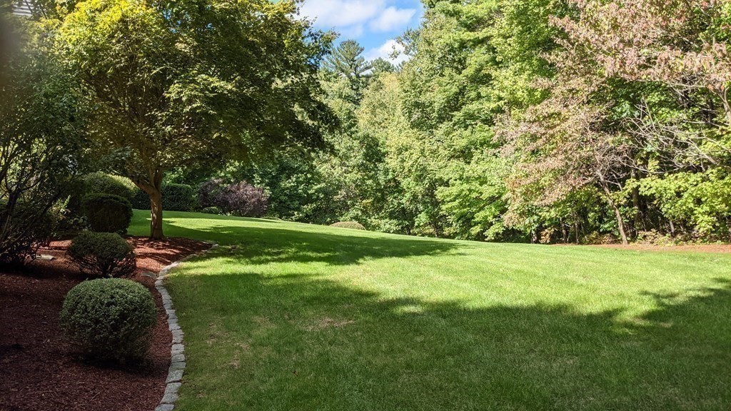 92 Lyman Road Berlin, MA 01503 - Photo 32 of 32 a view of a field with grass and a tree