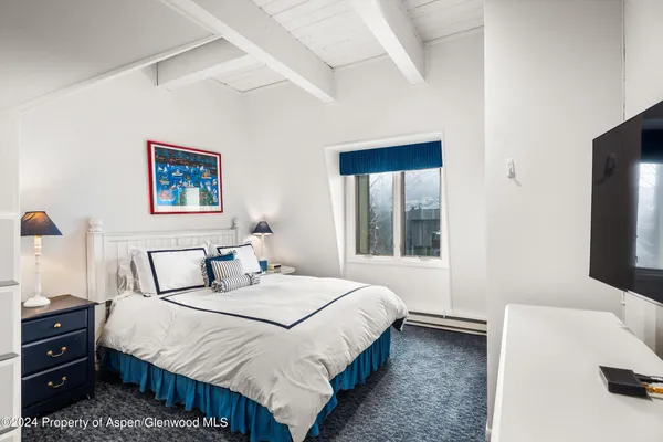 $20,000 | 731 East Durant Avenue, Unit 18, Aspen, CO 81611