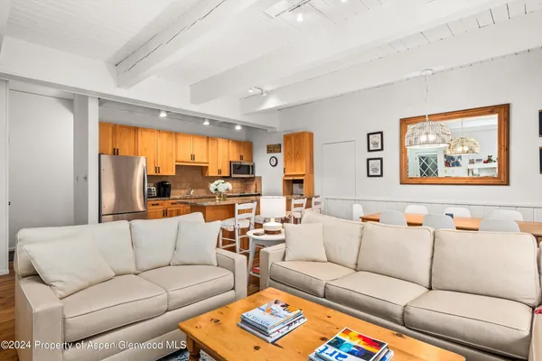 $20,000 | 731 East Durant Avenue, Unit 18, Aspen, CO 81611