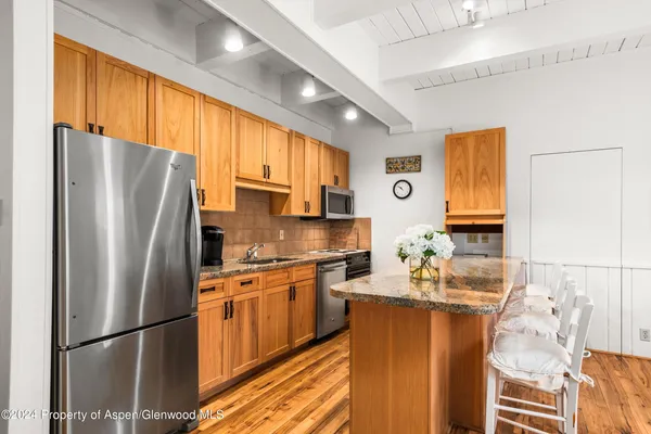 $20,000 | 731 East Durant Avenue, Unit 18, Aspen, CO 81611