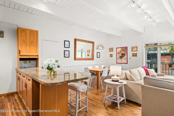 $20,000 | 731 East Durant Avenue, Unit 18, Aspen, CO 81611