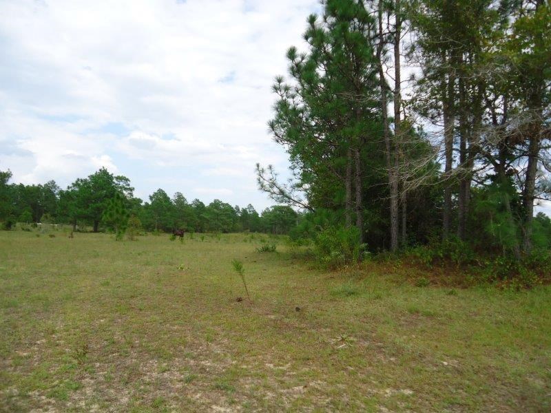 435 Dog Trot Road Box Springs, GA 31801 - Photo 32 of 34 Gallery Image 32
