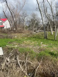 a view of outdoor space with garden