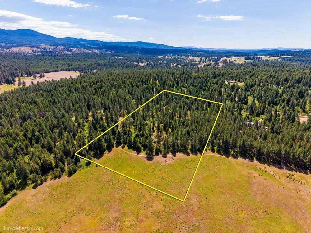 10307 Jasmine Lane Chattaroy, WA 99003 - Photo 41 of 49