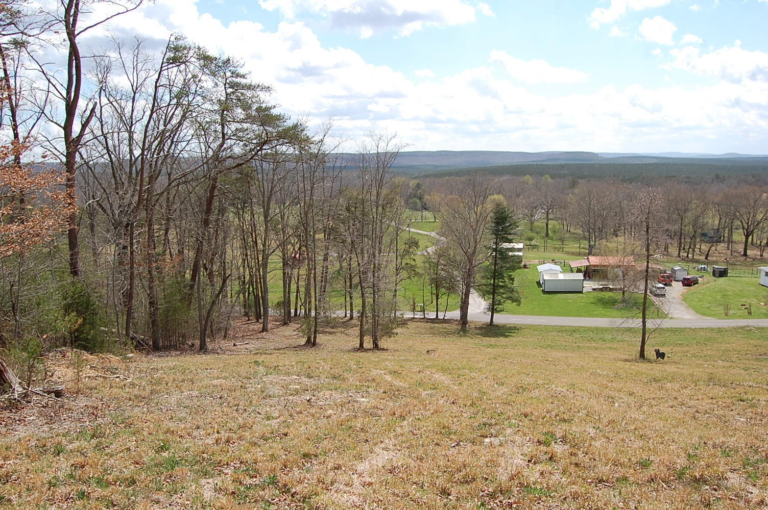 0 Bennie Camp Road Dunlap, TN 37327 - Photo 22 of 32 Gallery Image 22