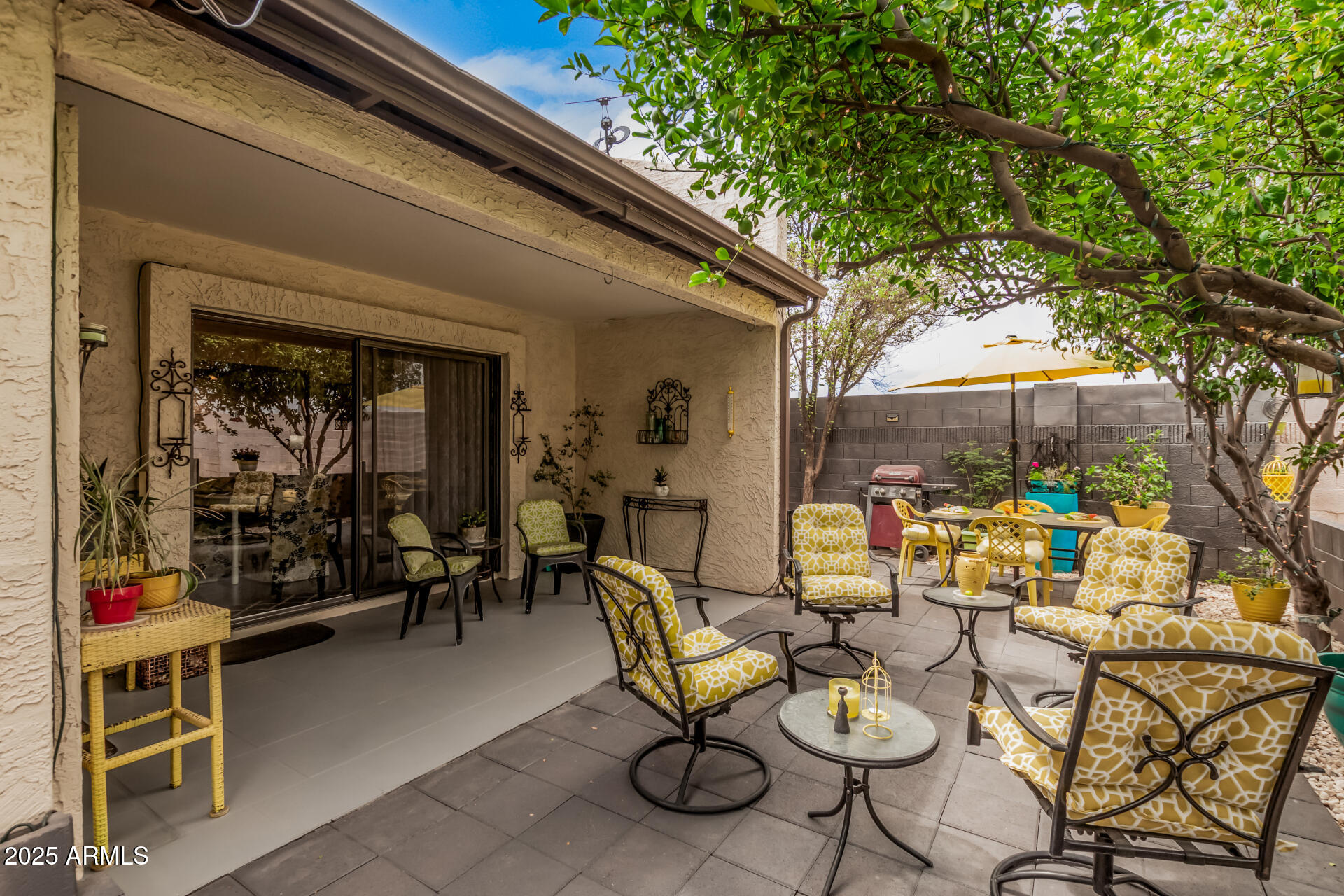 2329 North Recker Road, Unit 59 Mesa, AZ 85215 - Photo 25 of 32 Patio Looking West