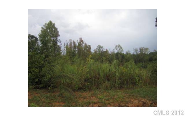 0 Roy Cline Road Salisbury, NC 28146 - Photo 2 of 5 Gallery Image 2