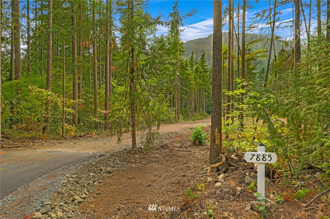 7885 Kendall Road Maple Falls, WA 98266 - Photo 1 of 39 Gallery Image 1