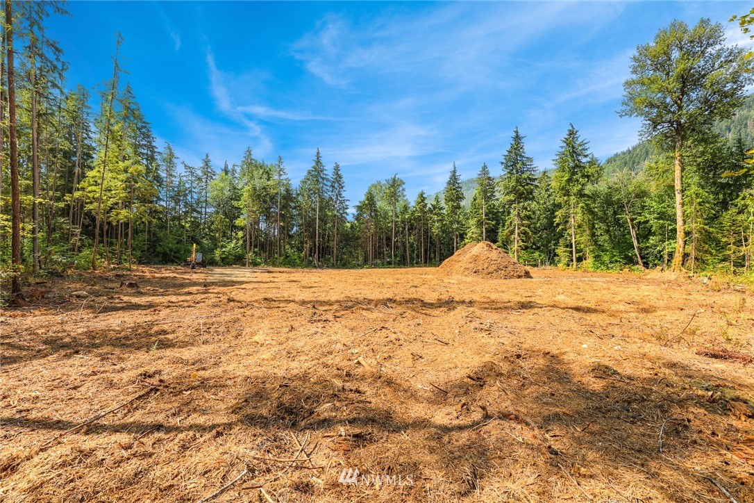 7885 Kendall Road Maple Falls, WA 98266 - Photo 11 of 39 Gallery Image 11