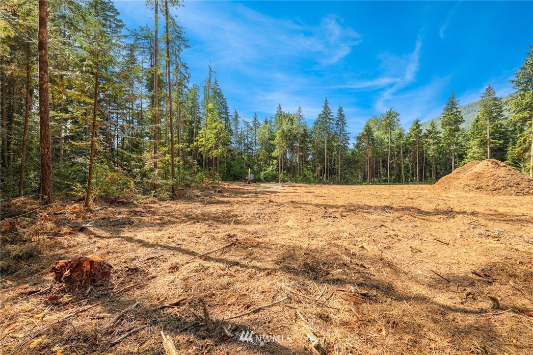 7885 Kendall Road Maple Falls, WA 98266 - Photo 12 of 39 Gallery Image 12