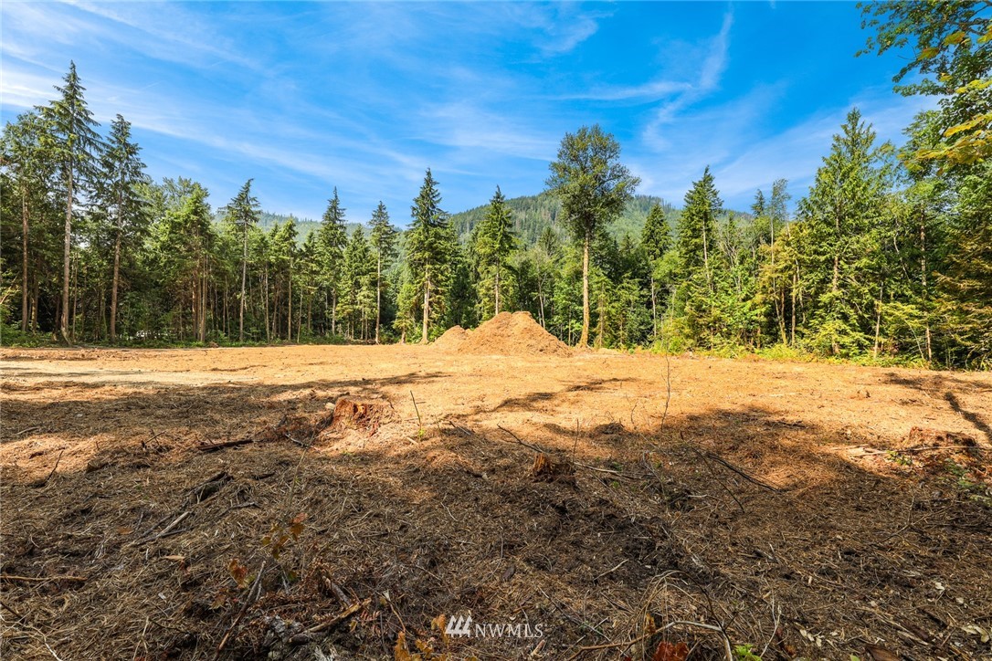 7885 Kendall Road Maple Falls, WA 98266 - Photo 14 of 39 Gallery Image 14
