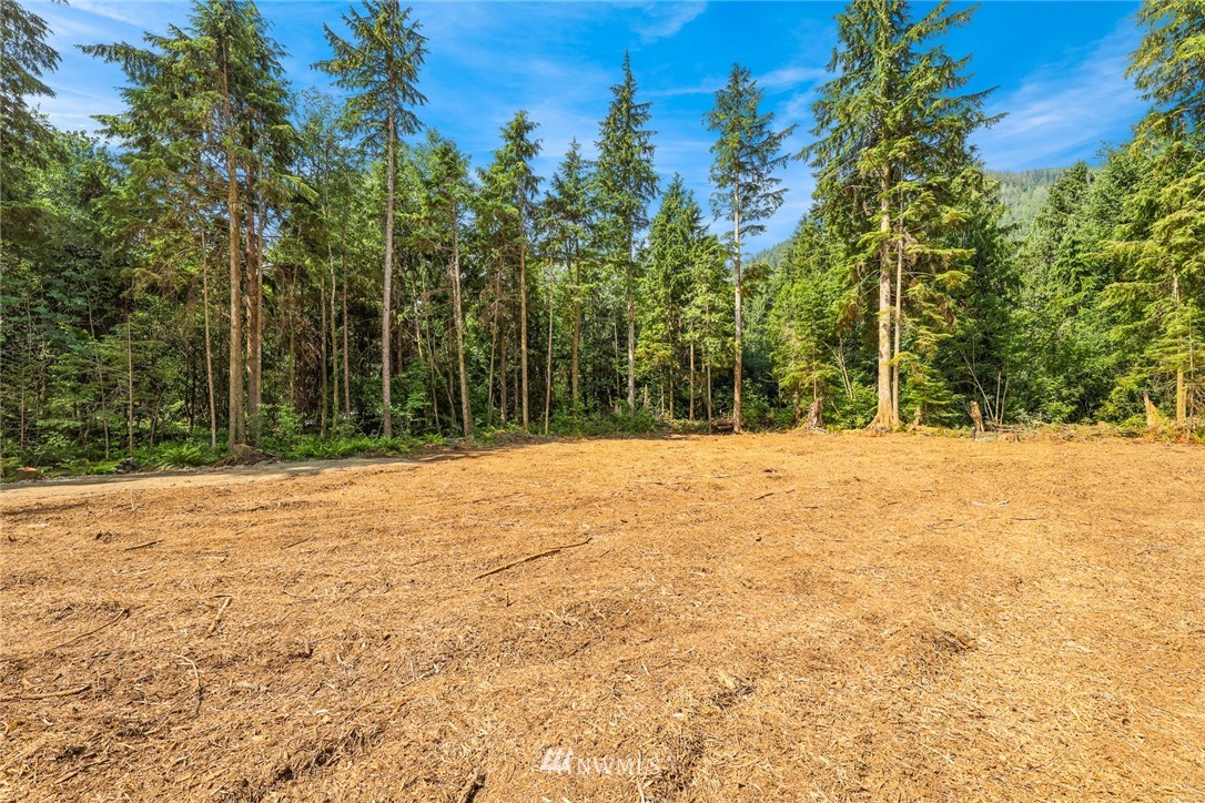 7885 Kendall Road Maple Falls, WA 98266 - Photo 19 of 39 Gallery Image 19