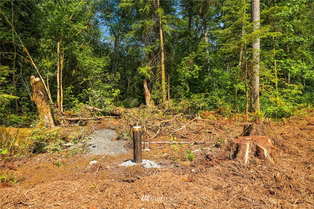 7885 Kendall Road Maple Falls, WA 98266 - Photo 3 of 39 Gallery Image 3