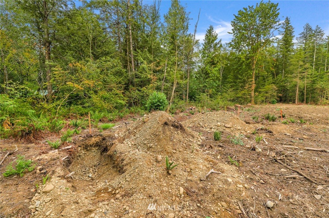7885 Kendall Road Maple Falls, WA 98266 - Photo 32 of 39 Gallery Image 32