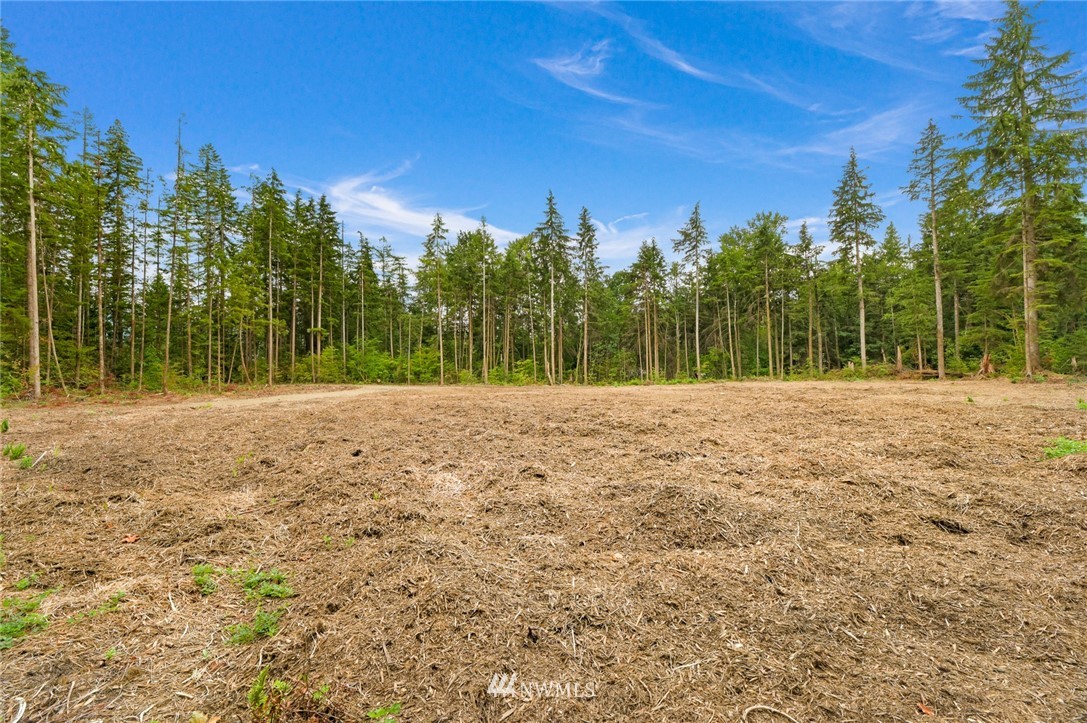 7885 Kendall Road Maple Falls, WA 98266 - Photo 35 of 39 Gallery Image 35