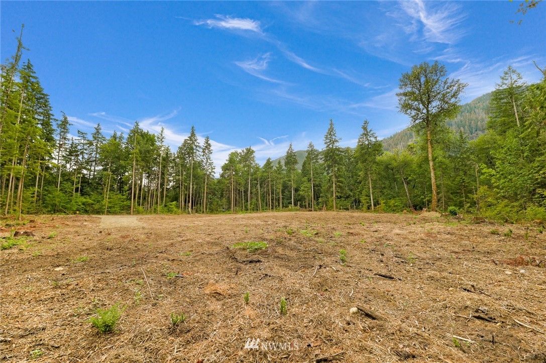 7885 Kendall Road Maple Falls, WA 98266 - Photo 37 of 39 Gallery Image 37