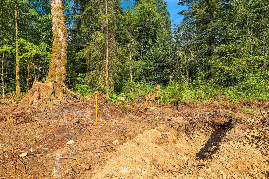 7885 Kendall Road Maple Falls, WA 98266 - Photo 7 of 39 Gallery Image 7