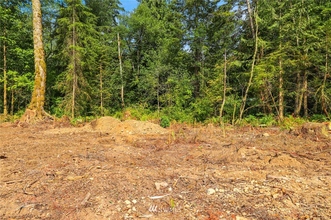 7885 Kendall Road Maple Falls, WA 98266 - Photo 9 of 39 Gallery Image 9