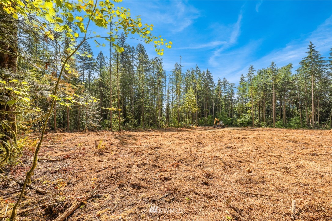 7885 Kendall Road Maple Falls, WA 98266 - Photo 10 of 39 Gallery Image 10